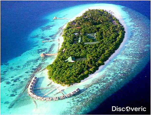 ����� ���