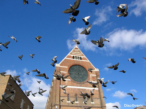 Церковь Святого Варфоломея