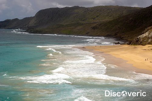 Фернанду-ди-Норонья