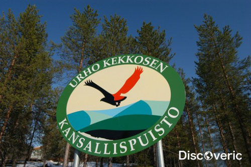 ������������ ���� ���� ��������