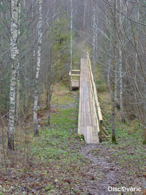 Покайнский лес